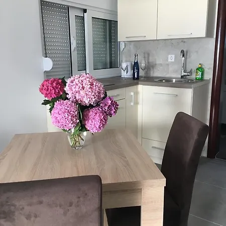 Apartments Stetonn 科托尔 外观 照片